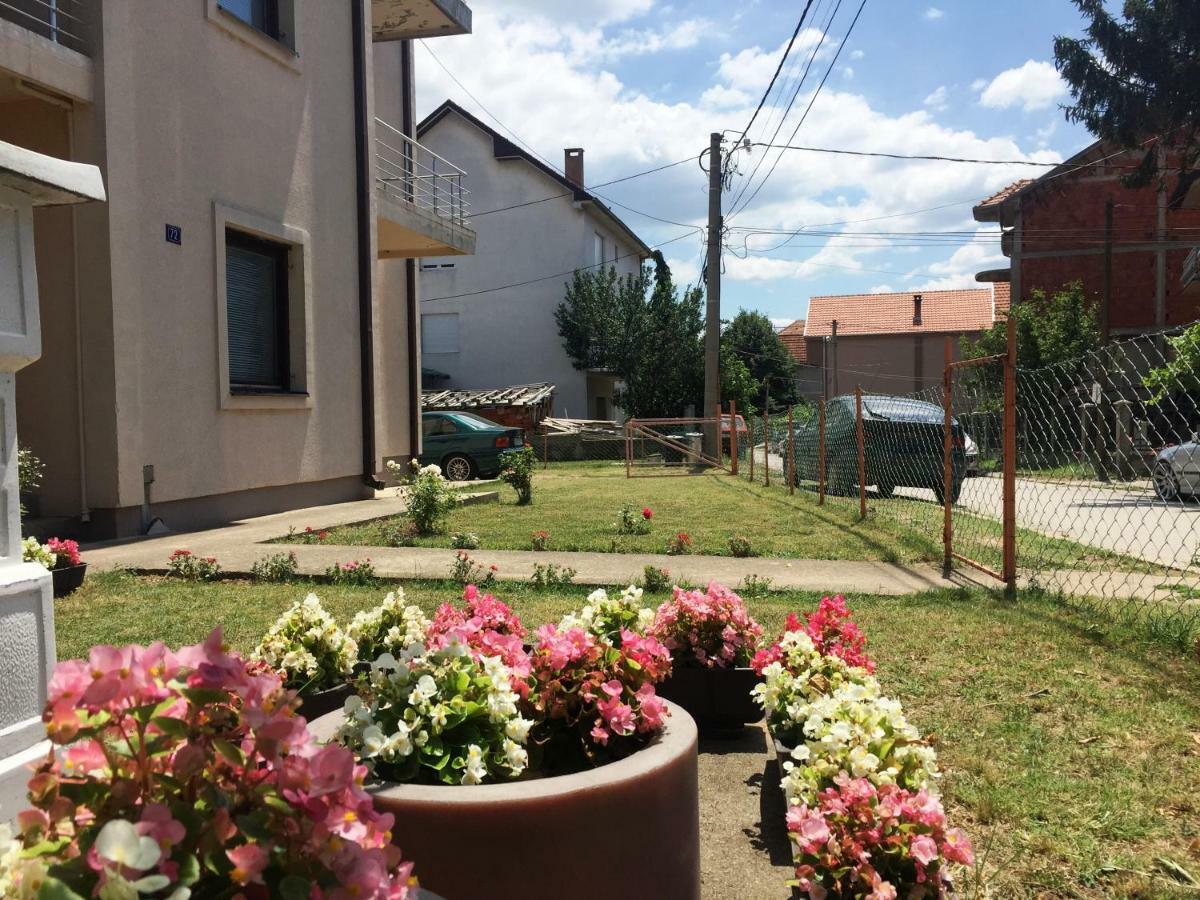 Nis Apartman Kültér fotó